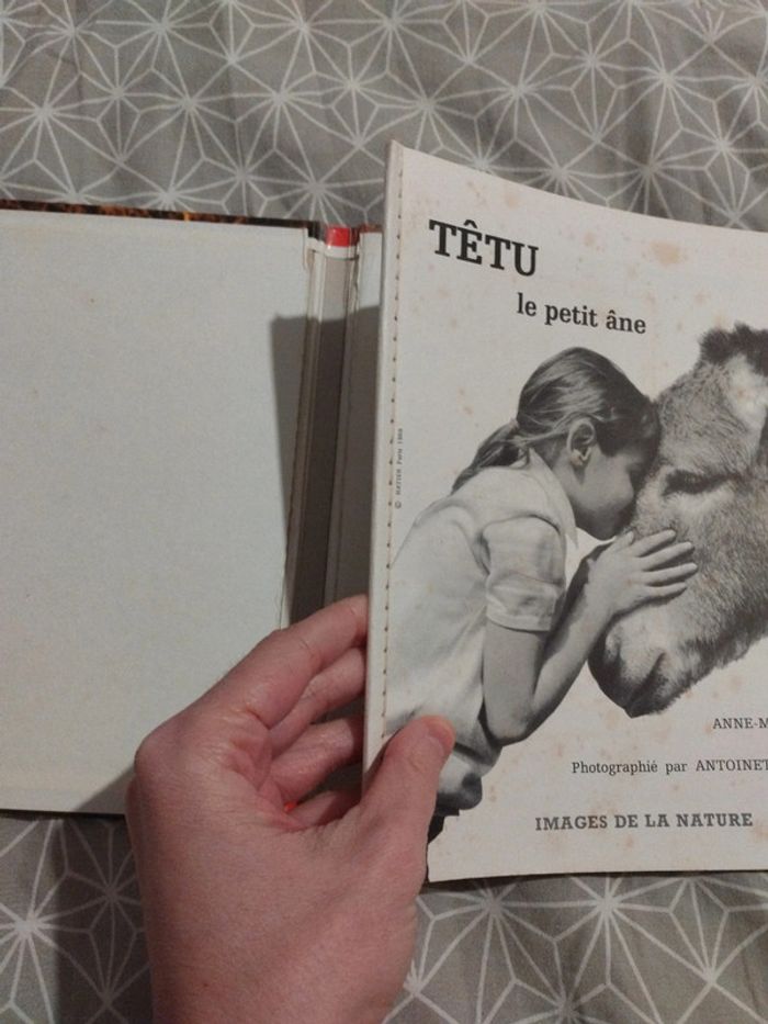 Livre vintage têtu le petit ane - photo numéro 4