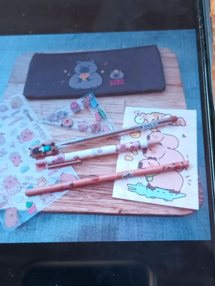 Trousse Capybara et ses accessoires