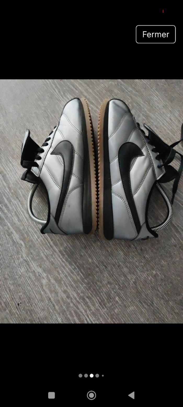 Cortez gris argenté - photo numéro 3