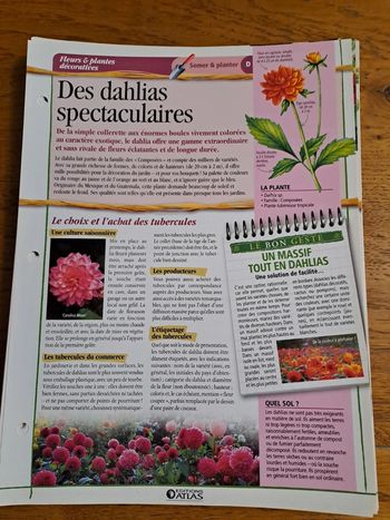 Fiches Atlas sur les plantes