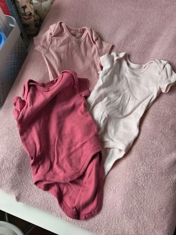 Bodies