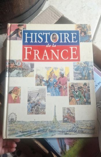 Histoire de la France illustré