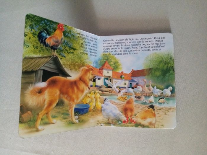 Livre enfant - photo numéro 5