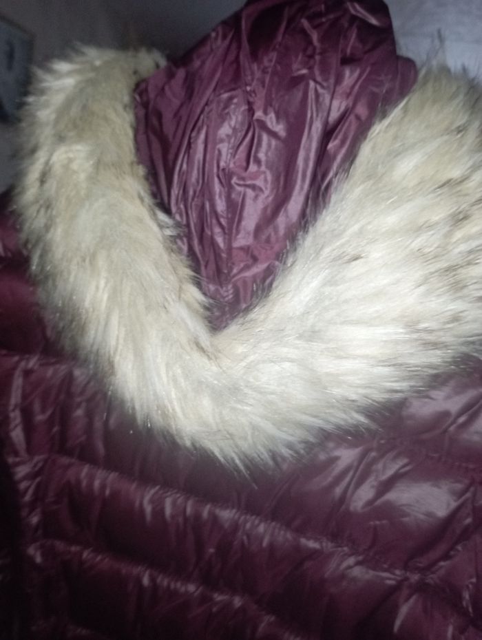 Manteau - photo numéro 4