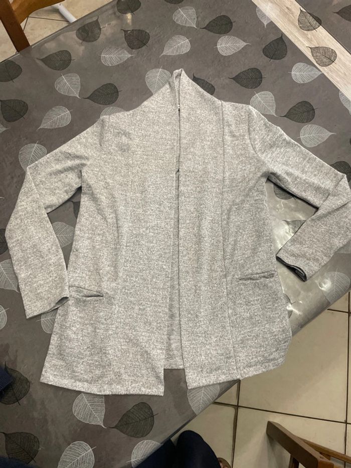 Lot 2 gilets Gemo 12 ans - photo numéro 2