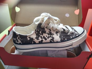 Converse Femme pointure 40