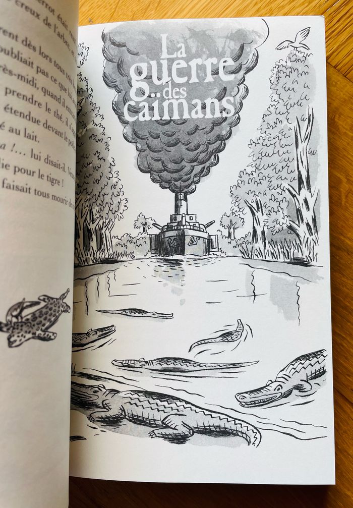 🦩🌿Contes de la forêt vierge Horacio Quiroga - photo numéro 8