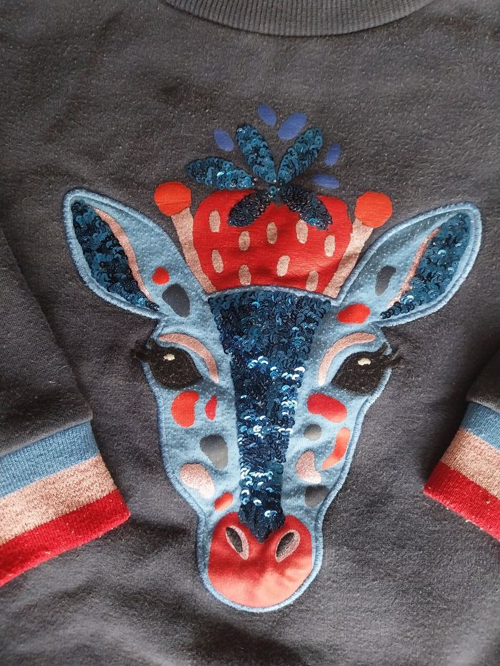 Pull dpam - photo numéro 2