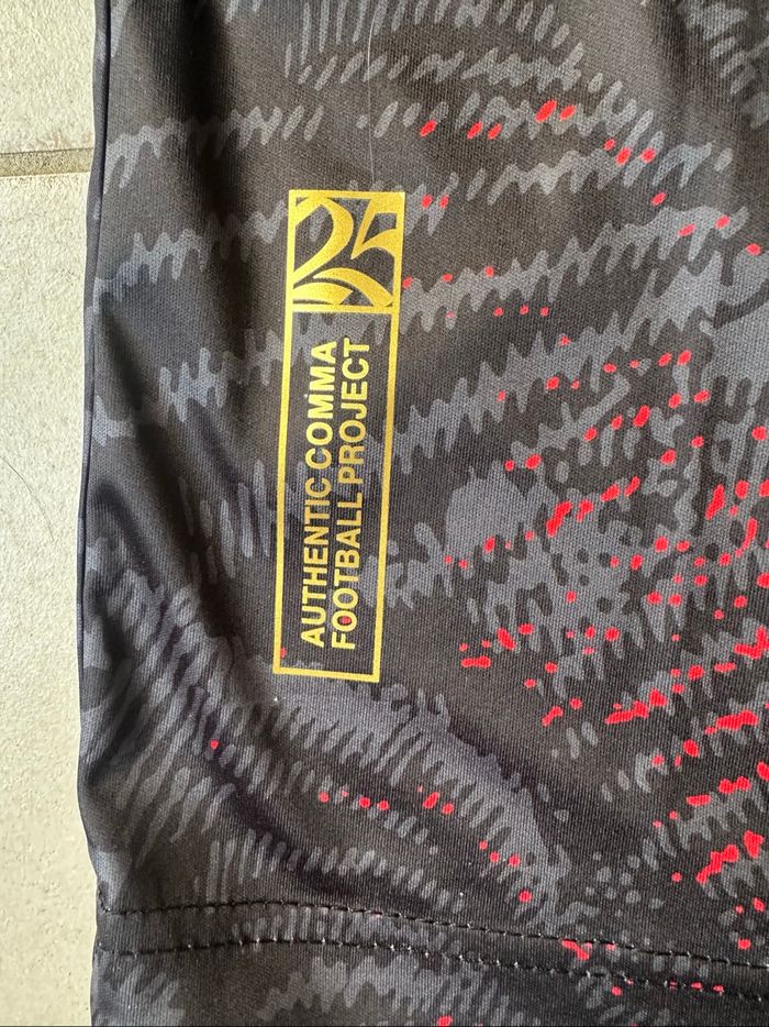 Maillot adulte champions 25 - photo numéro 6