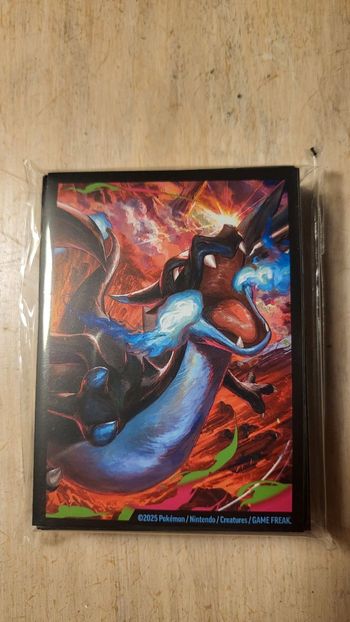 Protèges cartes Pokémon