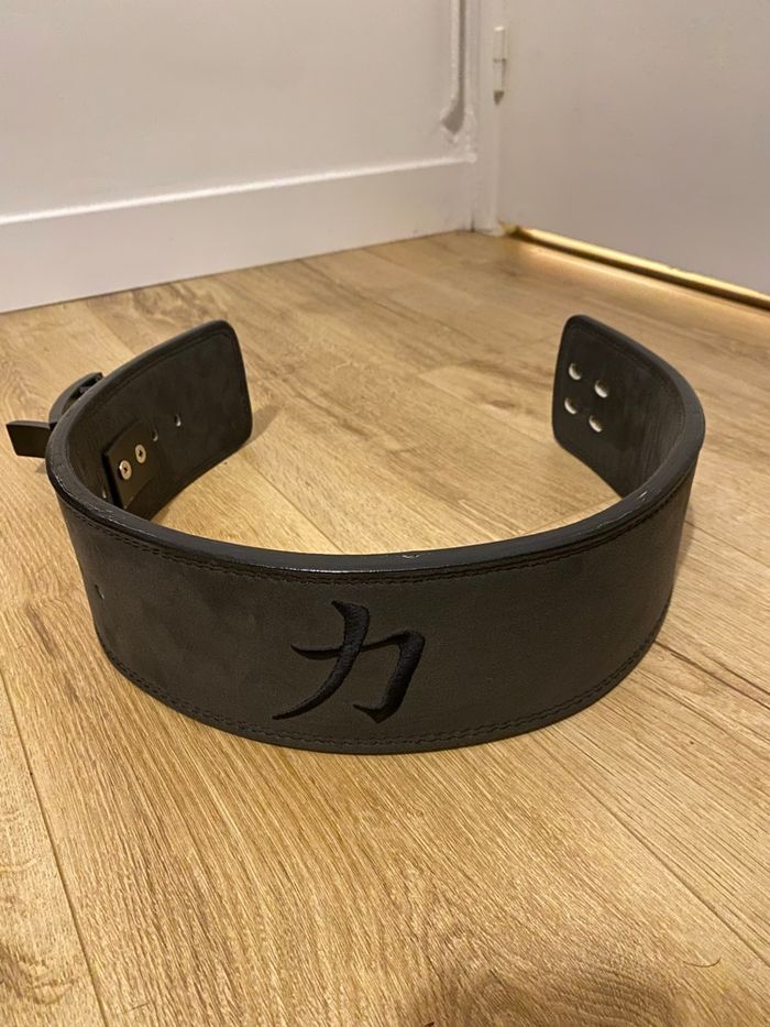 ceinture force - photo numéro 5