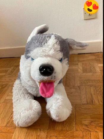 Peluche