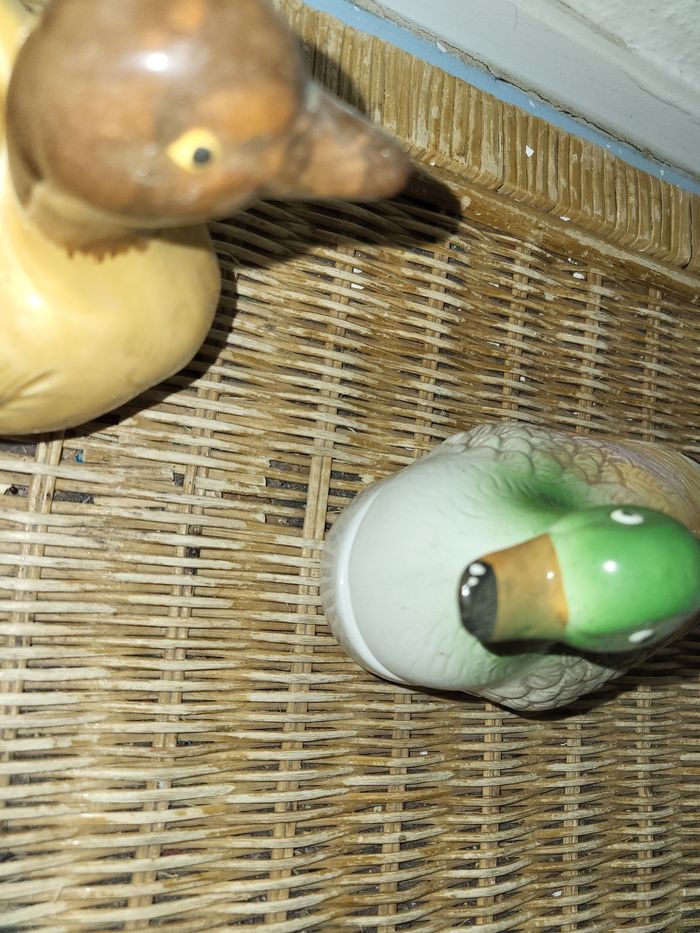 Lot de 1 boîte canard et un cache-pot canard - photo numéro 3