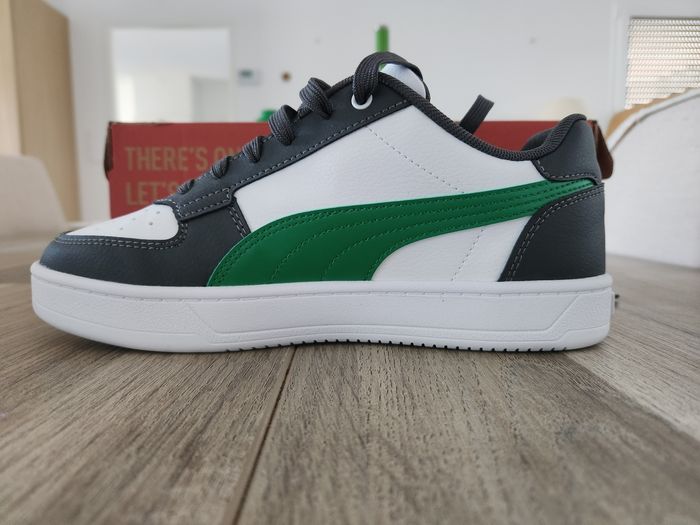 Basket puma