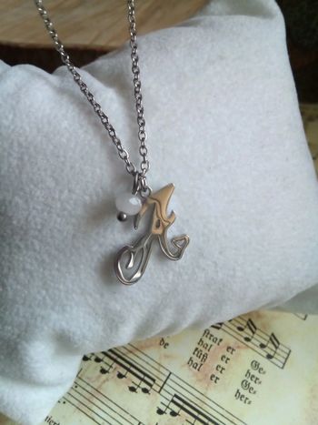 Collier en acier inoxydable plaqué argenté
Lettre A