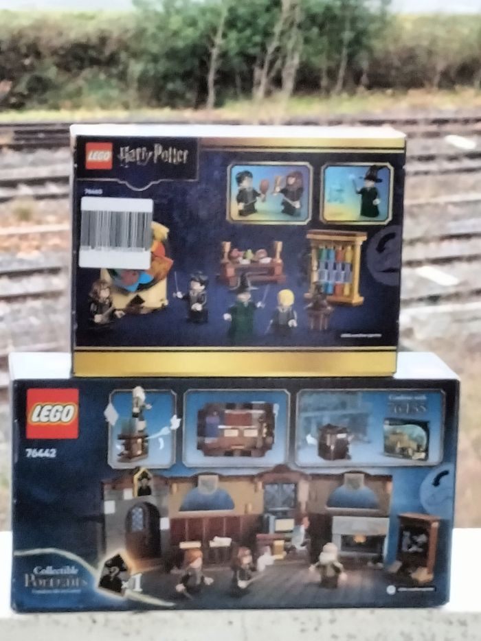 Lego Harry Potter le cours des sortilèges et la cérémonie du choixpeau magique - photo numéro 3