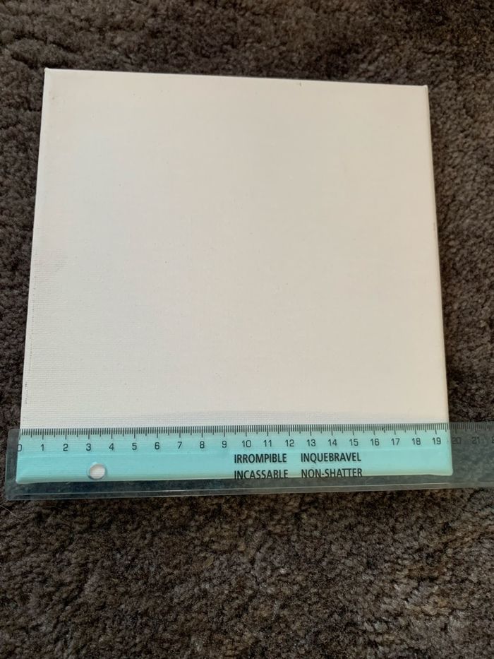 Toiles vierges - photo numéro 2