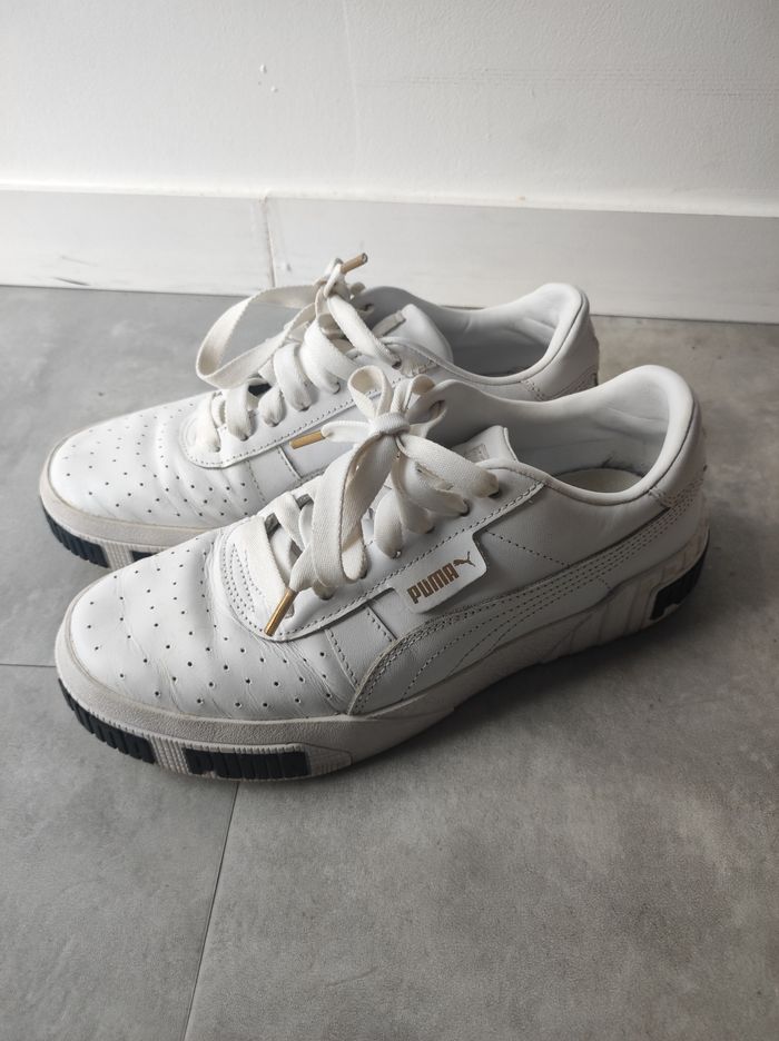 Puma blanches