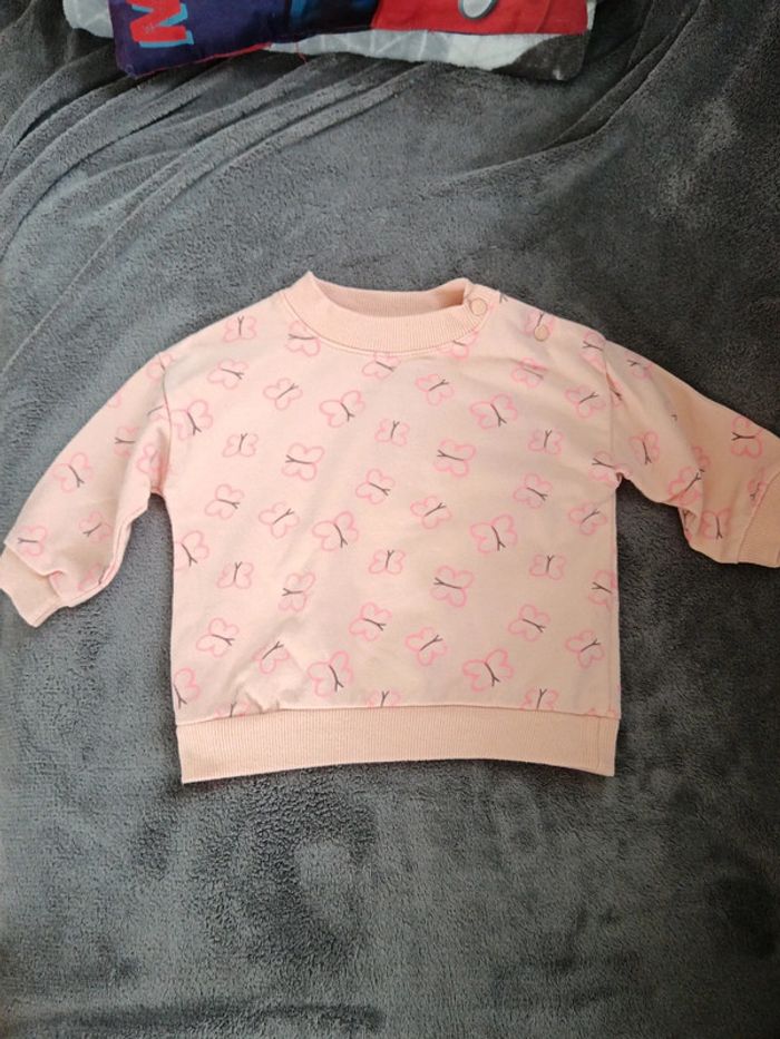 Pulls zeeman papillon