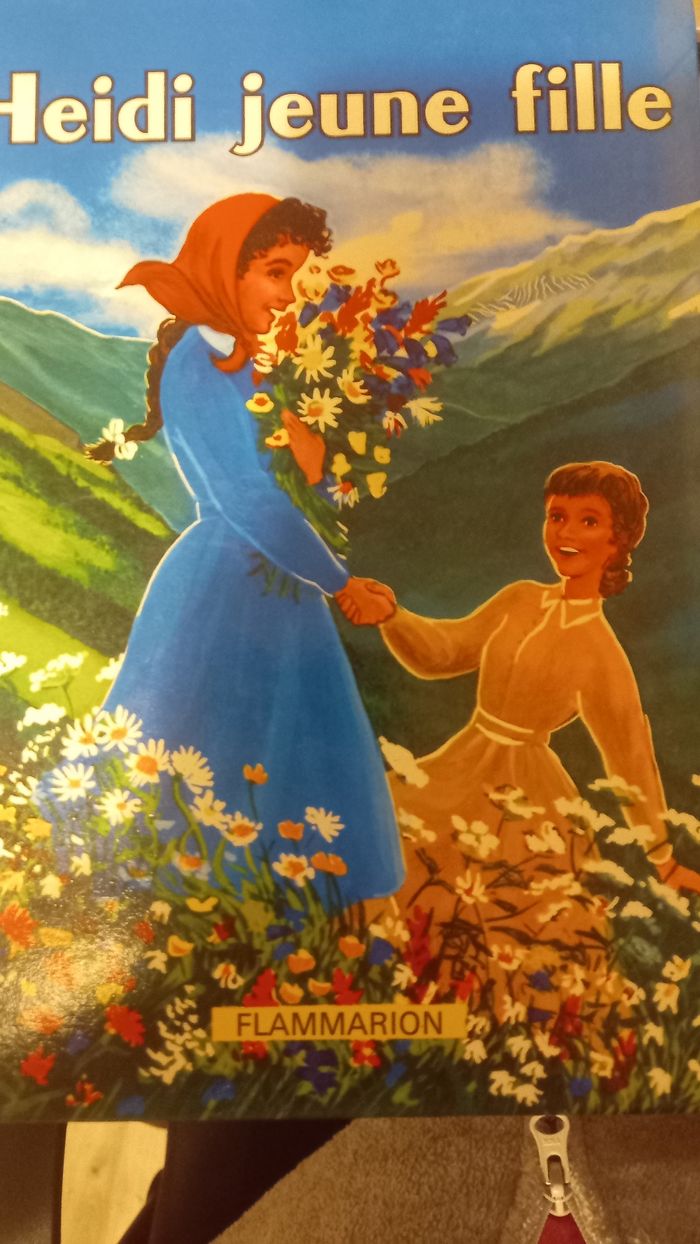 7 tomes Heidi - photo numéro 6