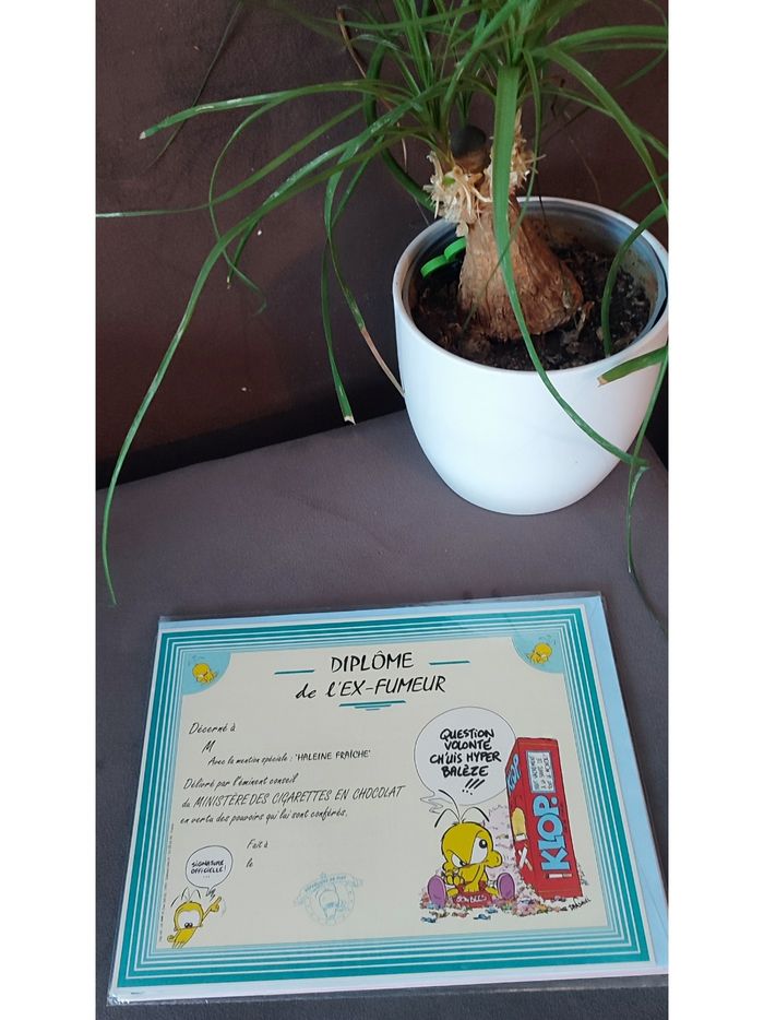 Diplôme de l'ex-fumeur Le Piaf
