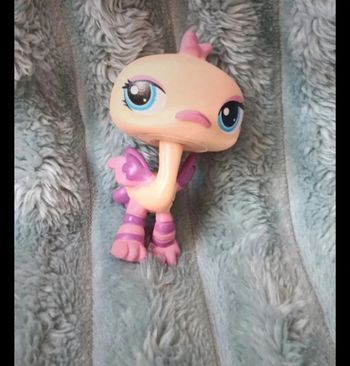 Petshop autruche 1416