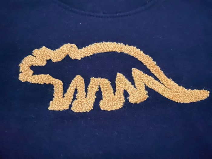 Sweat dinosaure - photo numéro 2