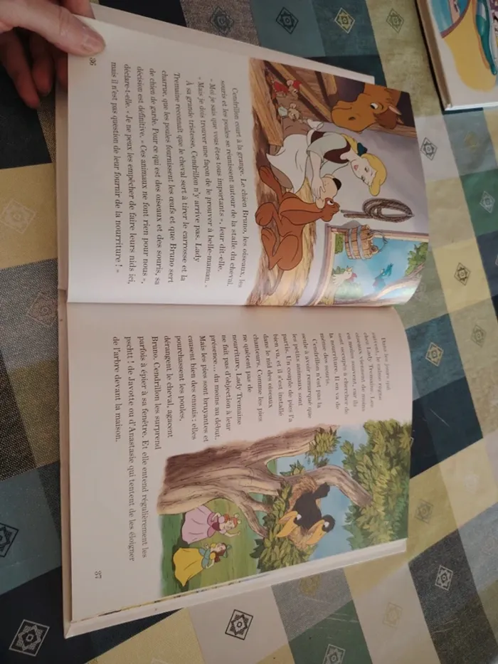 Livre Disney - photo numéro 10