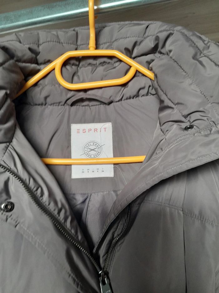Doudoune femme Esprit 36 - photo numéro 2