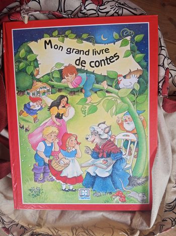 Mon grand livre des contes