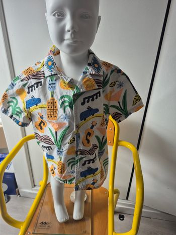 Chemise