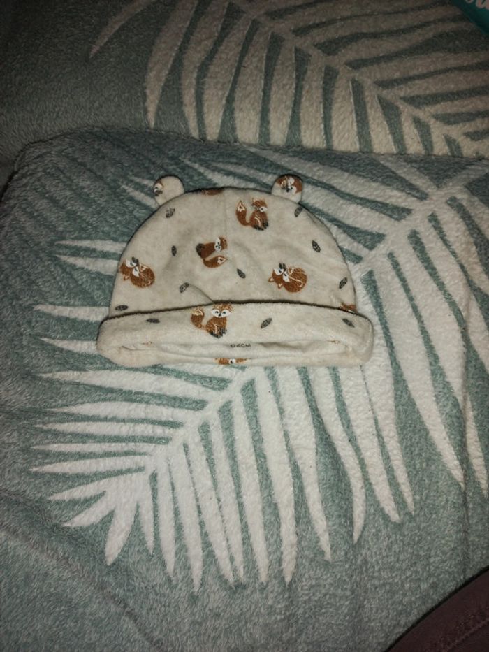 Bonnet - photo numéro 2