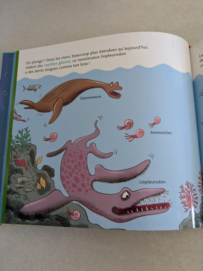 Livre Mes encyclos P'tits docs l'histoire de la vie - photo numéro 3