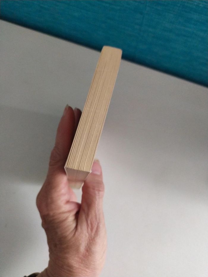 Miracle à Speedy Motors - photo numéro 4