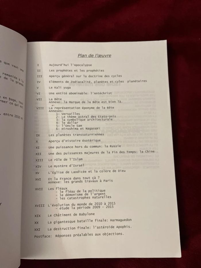 Introuvable sur Vinted et épuisé en librairie ! Livre ésotérique - photo numéro 4