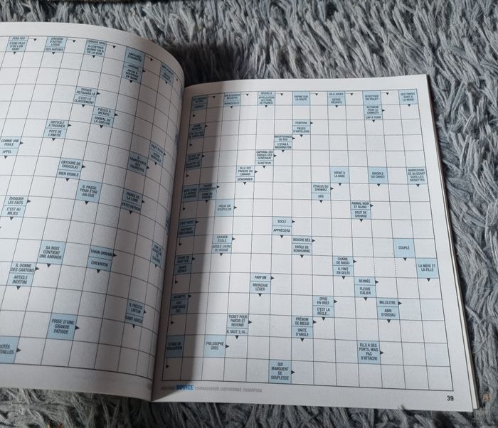 Livre de jeu fléchés (novice) niveau 2 (83grilles) - photo numéro 3