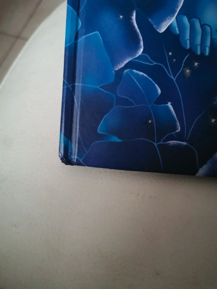 Livre les fées plein d histoires - photo numéro 2