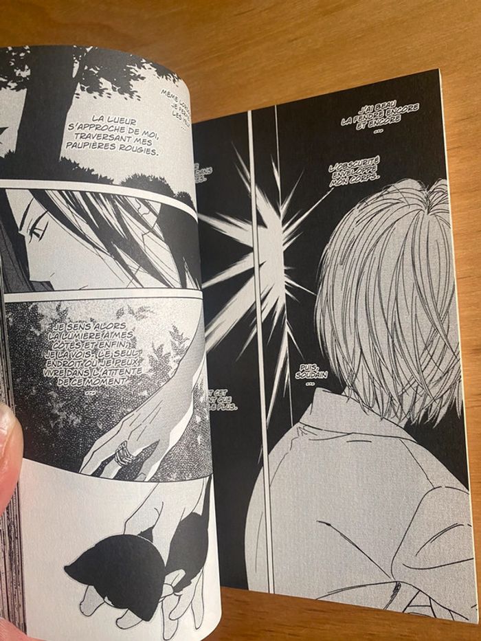 Manga - photo numéro 3