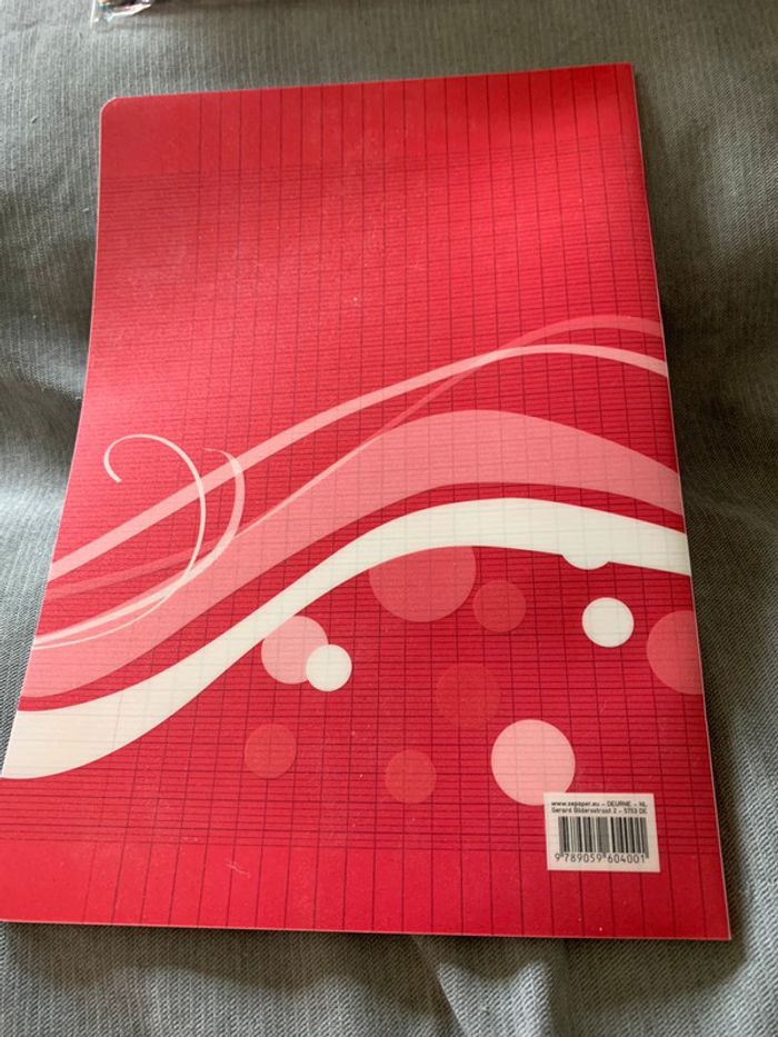 Cahier 21*29,7cm - photo numéro 3