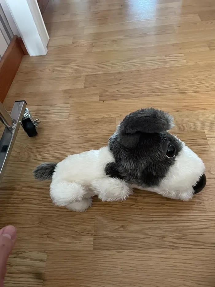 Peluche chien - photo numéro 2