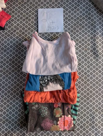 Lot teeshirt manches longues bébé fille 24 mois