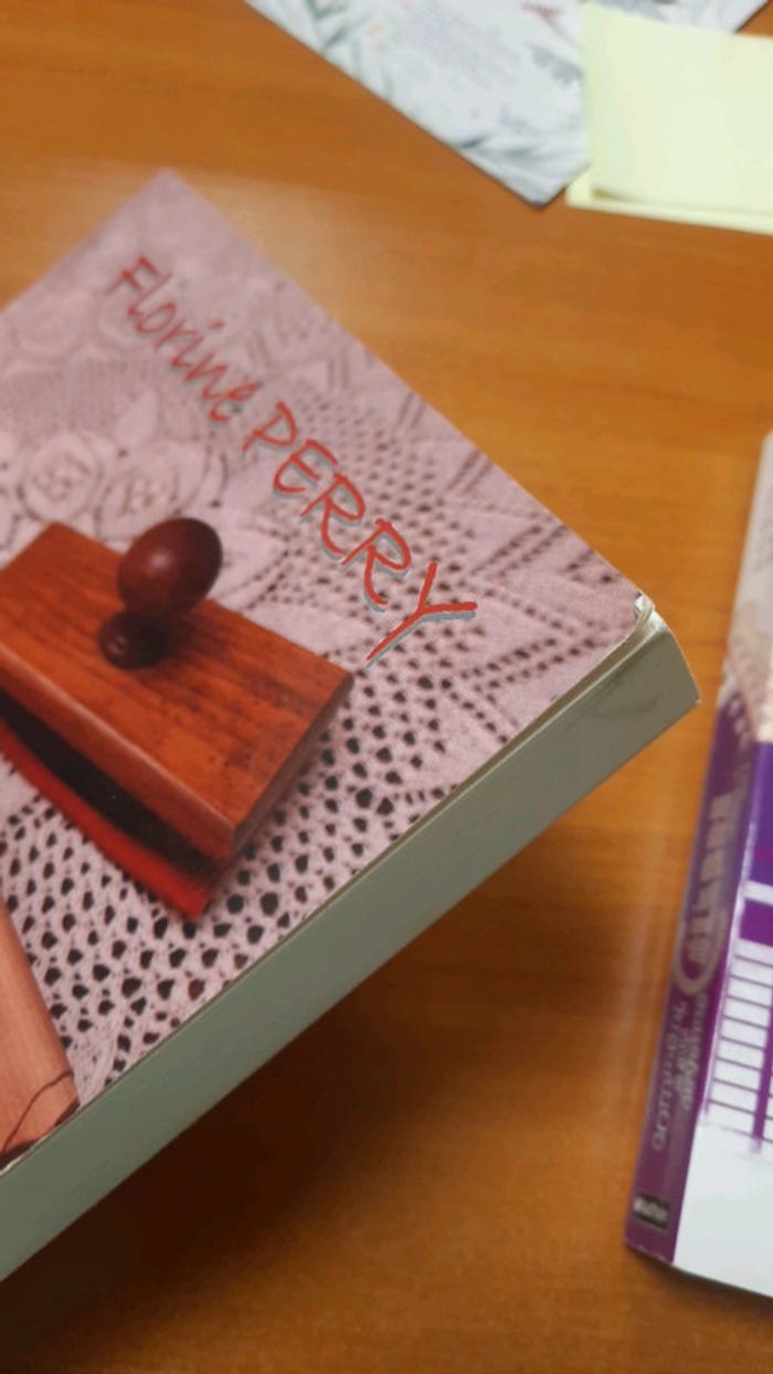 Livre florins perry - photo numéro 5