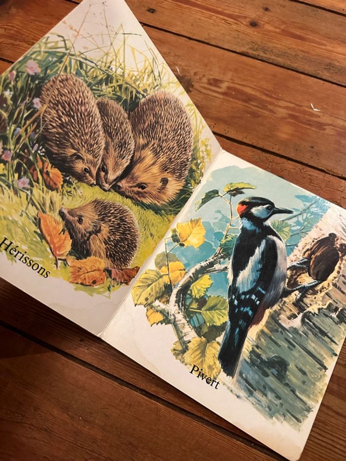 Livre album imagier carton ancien vintage à la campagne animaux forêt Hemma collection Aurore - photo numéro 3