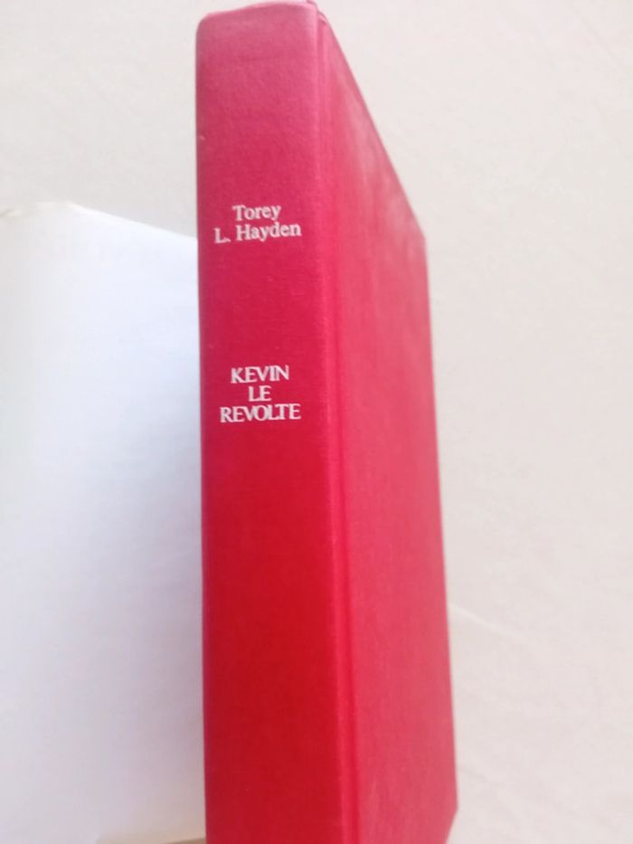 Kévin le révolté - photo numéro 4