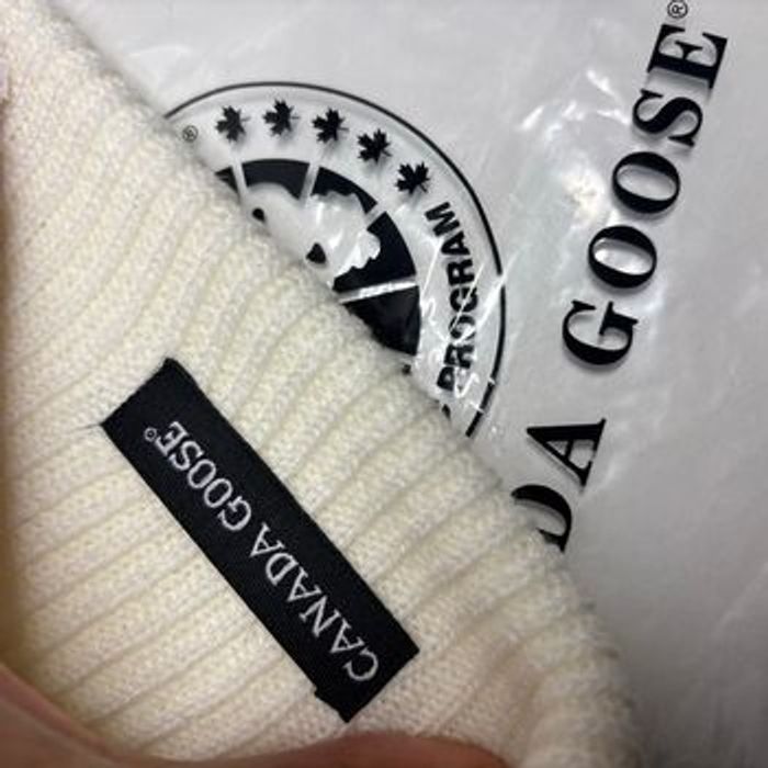 Bonnet Canada goose - photo numéro 5