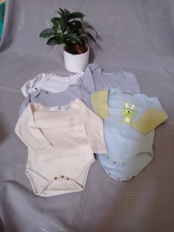 Lot 5 bodys manches longues