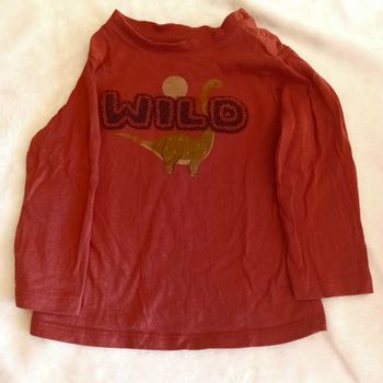 T-shirt manches longues bébé garçon