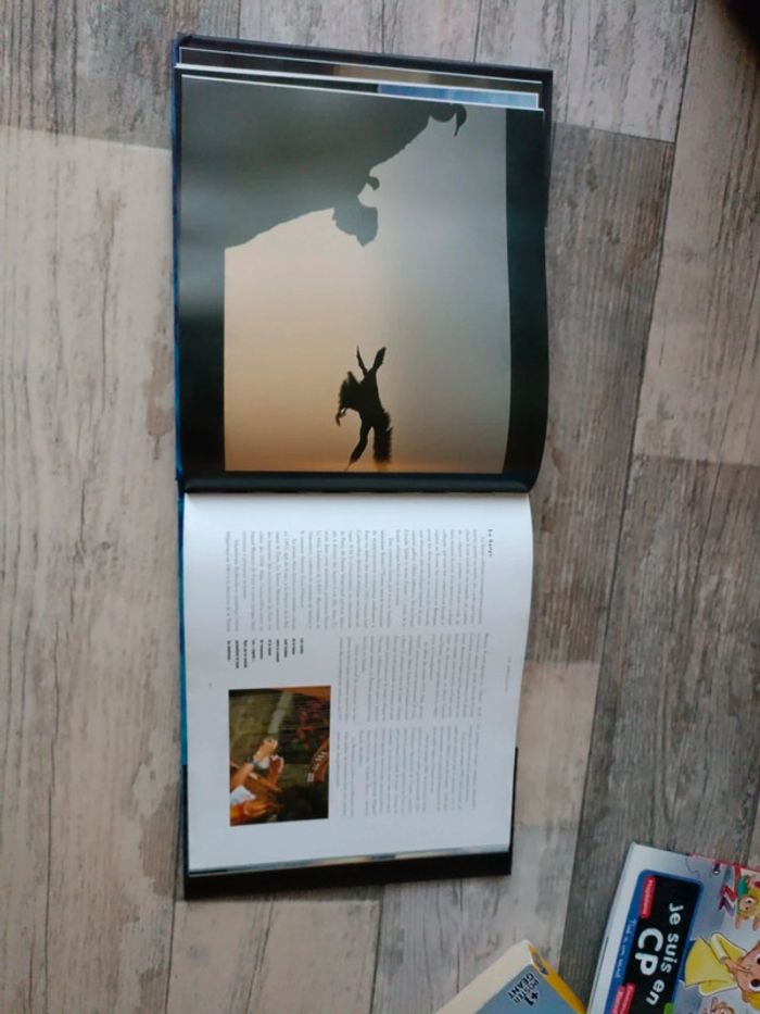 Musique des mondes Celtes - photo numéro 3