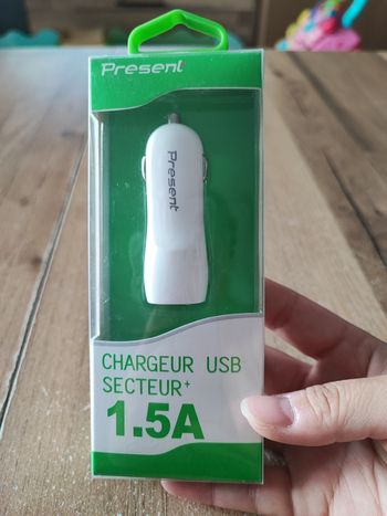 Chargeur USB secteur