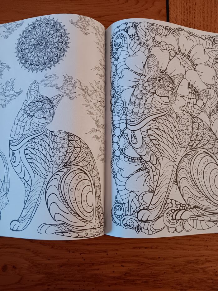 Livre coloriage magique - photo numéro 3